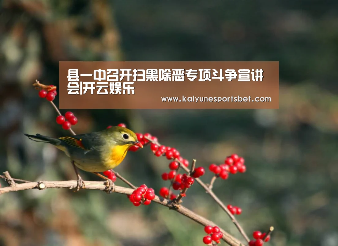 县一中召开扫黑除恶专项斗争宣讲会|开云娱乐(图1) 开云直播
